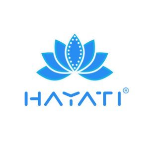 HAYATI Pro Max (4000 Puff) - EUK