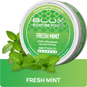 Fresh Mint Nicotine Pouches By Elux