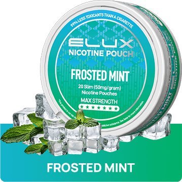 Frosted Mint Nicotine Pouches By Elux