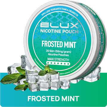 Frosted Mint Nicotine Pouches By Elux